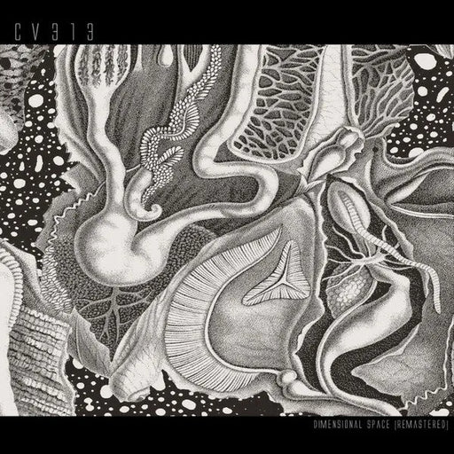 CV313 - Dimensional Space 3LP Reissue-Miscellaneous-Records-ROTATION BOUTIQUE BERLIN