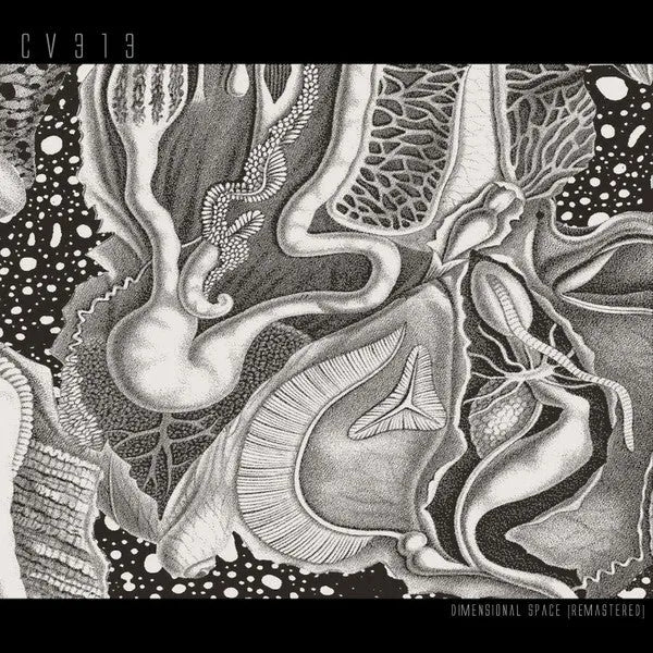 CV313 - Dimensional Space 3LP Reissue-Miscellaneous-Records-ROTATION BOUTIQUE BERLIN