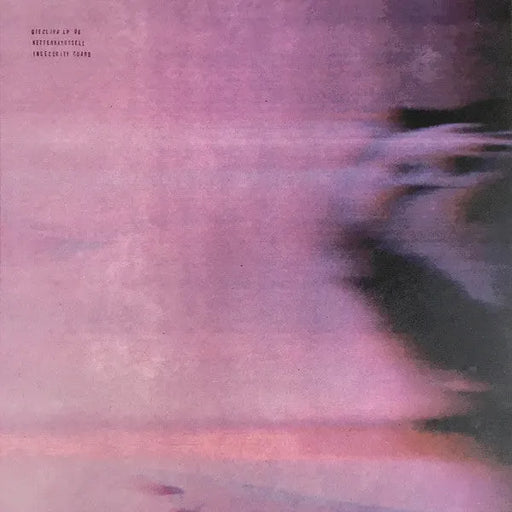 Kettenkarussell - Insecurity Guard 2x12'', Giegling LP 06 2017-Giegling-Records-ROTATION BOUTIQUE BERLIN