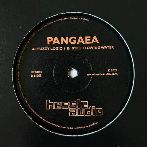 Pangaea - Fuzzy Logic 12"-Hessle Audio-Records-ROTATION BOUTIQUE