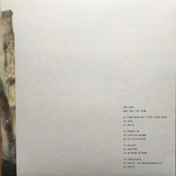 Map.Ache - What Does That Mean 2x12'', Giegling LP 10, 2020 von Giegling – Bild 3