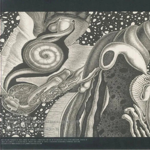 CV313 - Dimensional Space 3LP Reissue von Miscellaneous – Bild 2