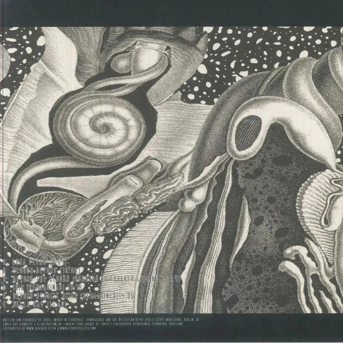 CV313 - Dimensional Space 3LP Reissue von Miscellaneous – Bild 2