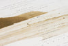 Polygon Window Surfing on Sine Waves 3LP Reissue Warp von Warp Records – Bild 5